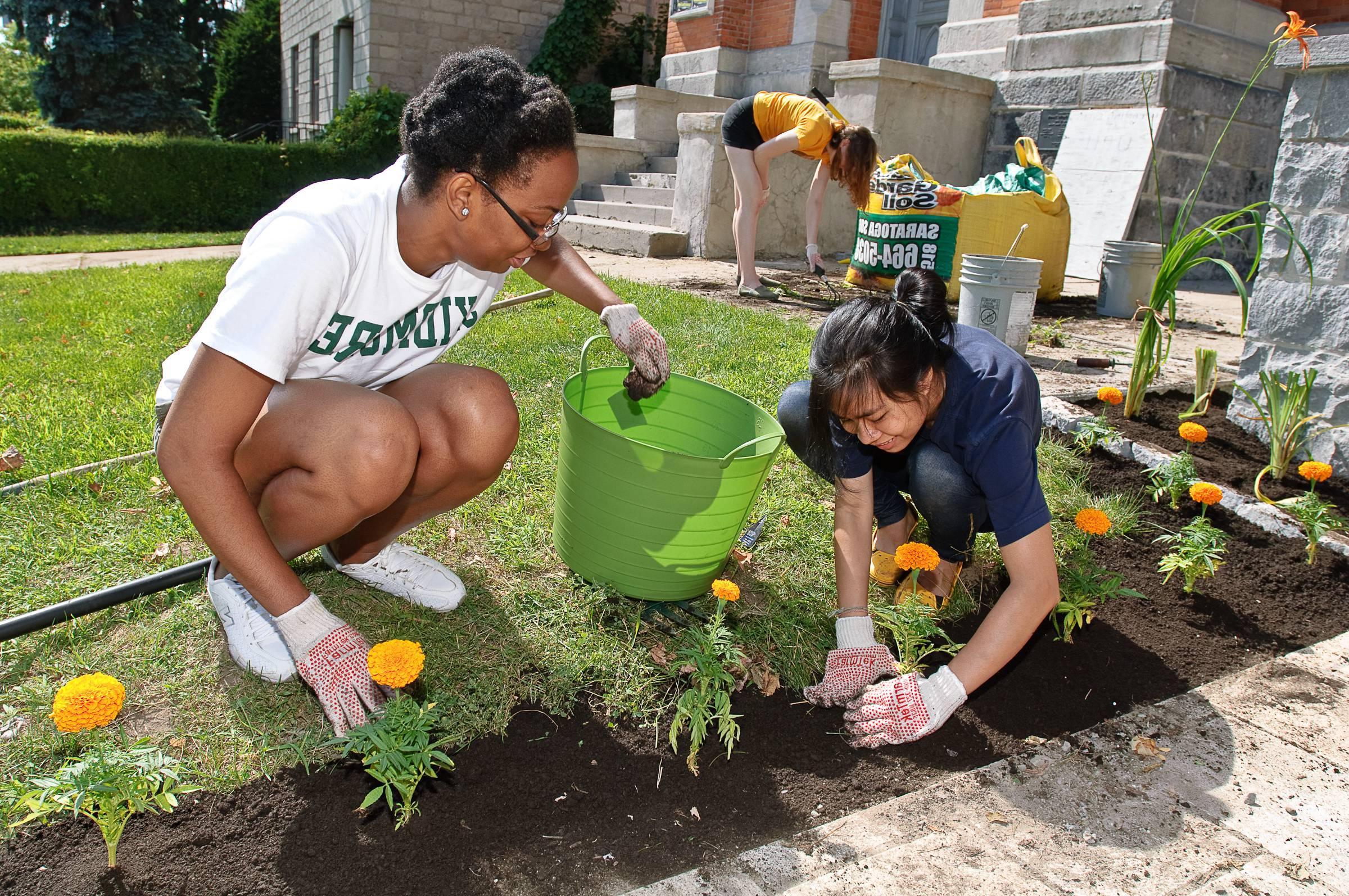 Two people work together to plant flowers as volunteers